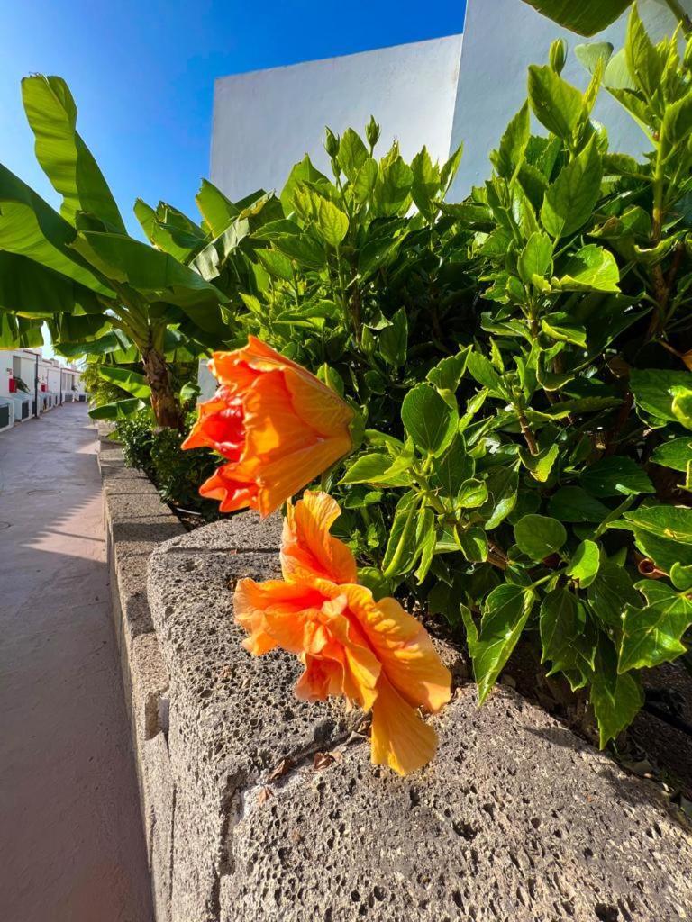 Apartament Malibu Blue Costa Adeje  Exterior foto